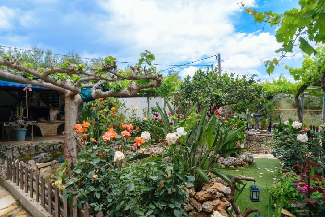 Dimitris'S Country House Agia  Exterior photo